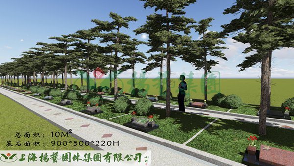 非凡国际(中国区)有限公司-官方网站
