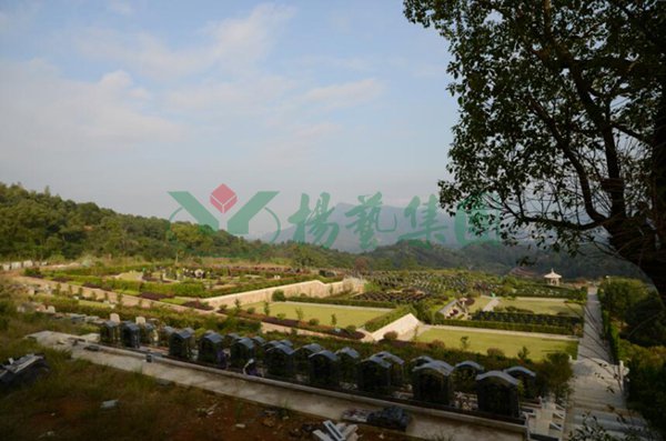 1-220209110423W1 非凡国际(中国区)有限公司-官方网站