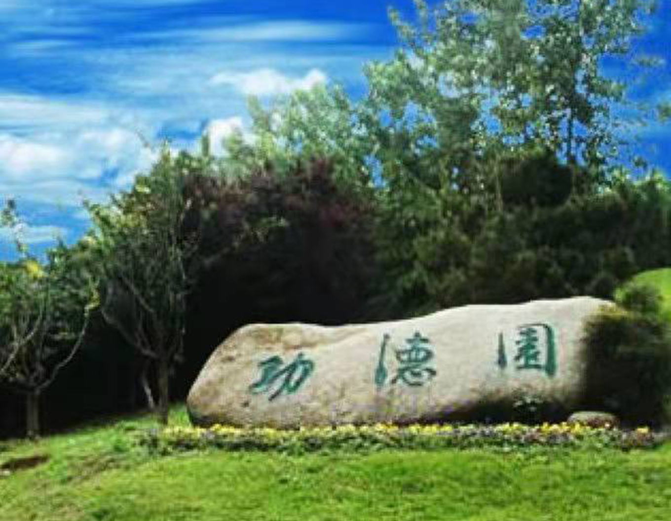 非凡国际(中国区)有限公司-官方网站