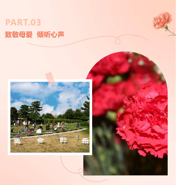 非凡国际(中国区)有限公司-官方网站