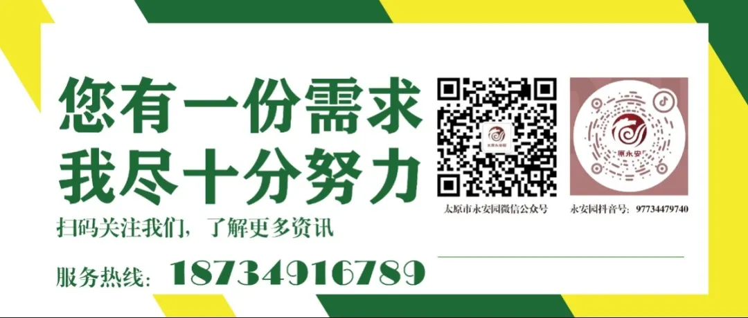 1-240615105130424 非凡国际(中国区)有限公司-官方网站