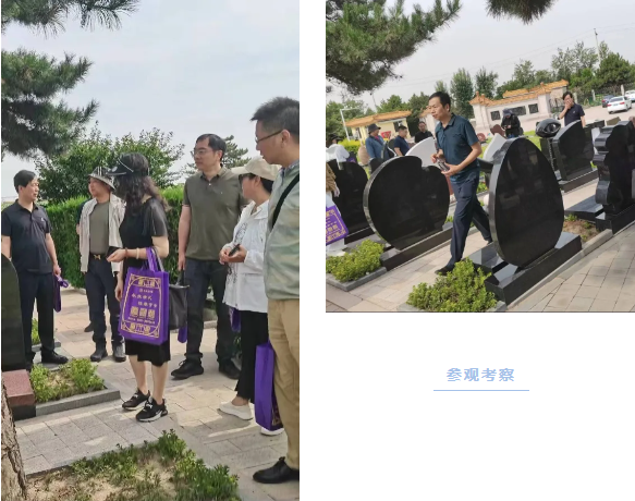 1-240622095002D8 非凡国际(中国区)有限公司-官方网站