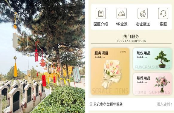 1-241101161H3112 非凡国际(中国区)有限公司-官方网站