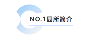 1-25052G106193a 非凡国际(中国区)有限公司-官方网站