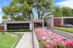 归于自然，泽被后世：解读现代生态葬及其创新趋势