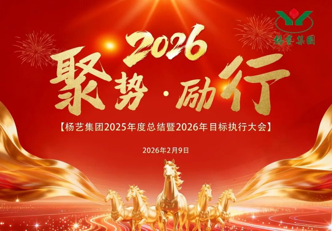 非凡国际(中国区)有限公司-官方网站