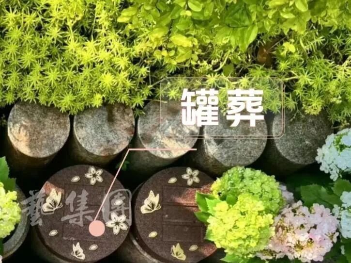 1-260521150H13V 非凡国际(中国区)有限公司-官方网站